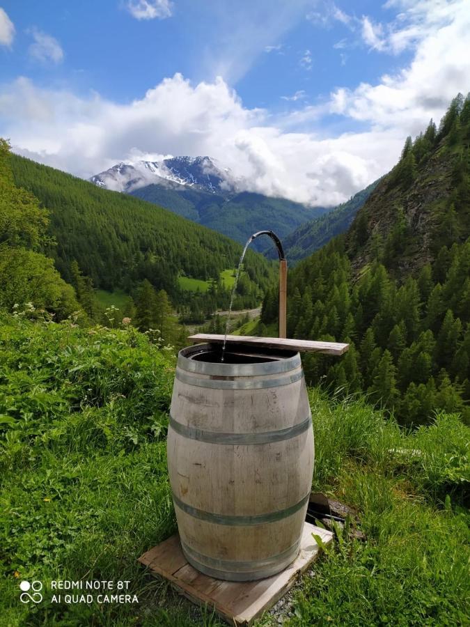 Les Hauts Du Roux Abriès 외부 사진